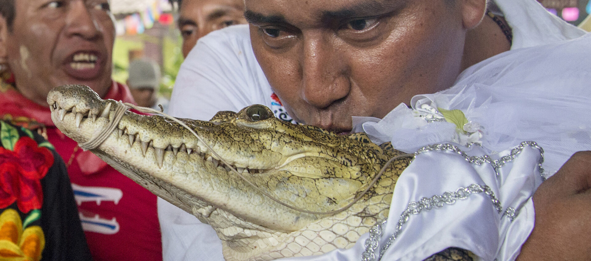 mexicano caiman