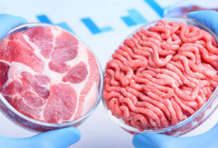 carne cultivada laboratorio