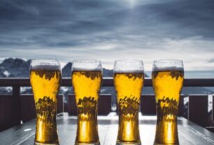 cerveza patagonia