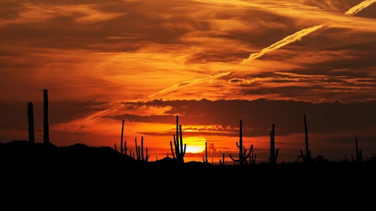 Desierto de Sonora