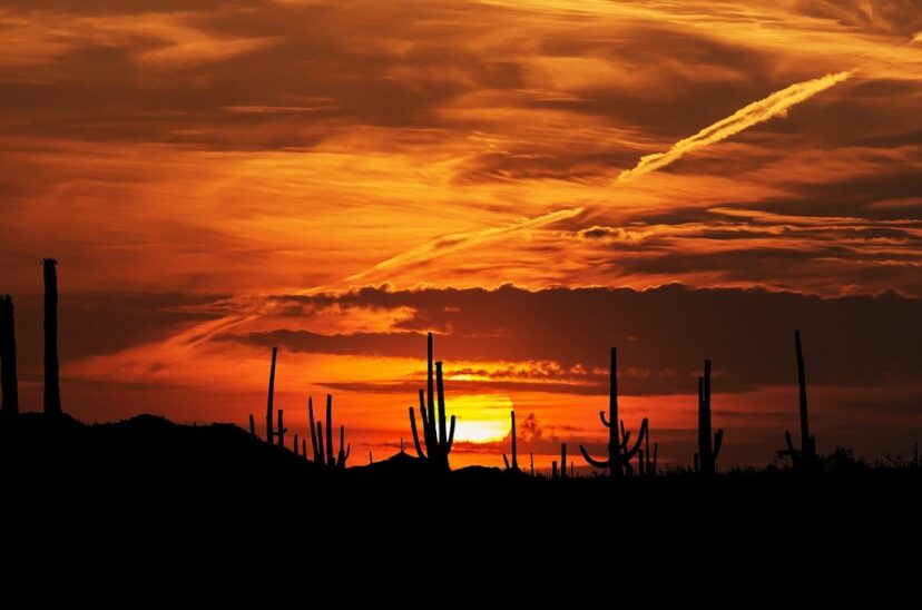 Desierto de Sonora