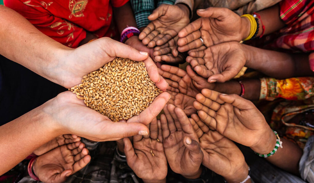 hambre en el mundo FAO