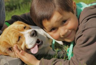 perro niños pequeños inteligencia artificial