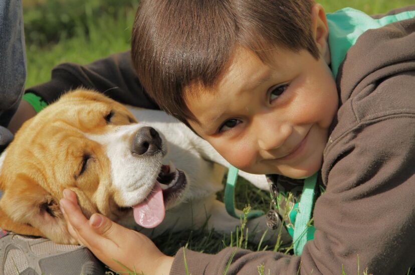 perro niños pequeños inteligencia artificial
