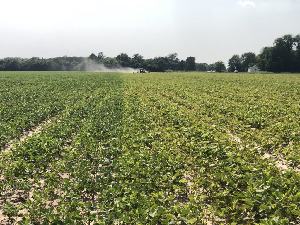 soja campo estados unidos