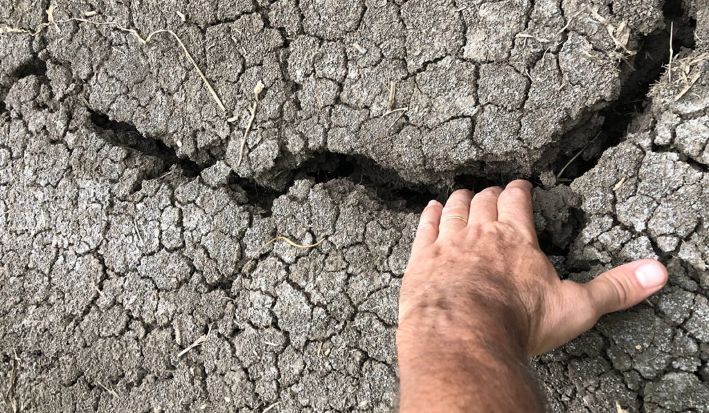 tierra seca sequía joaquín oliverio