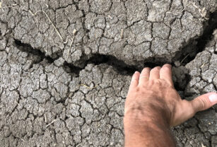 tierra seca sequía joaquín oliverio