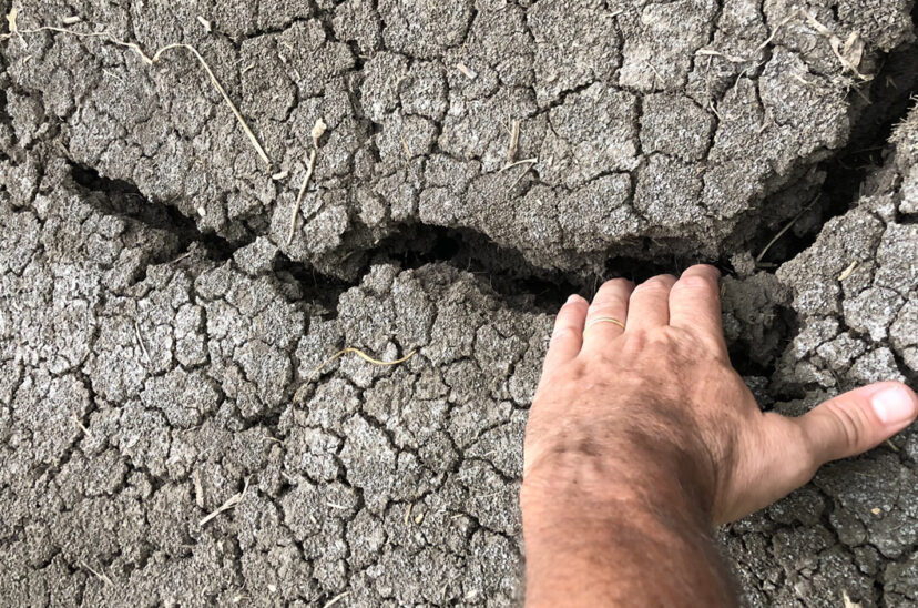 tierra seca sequía joaquín oliverio
