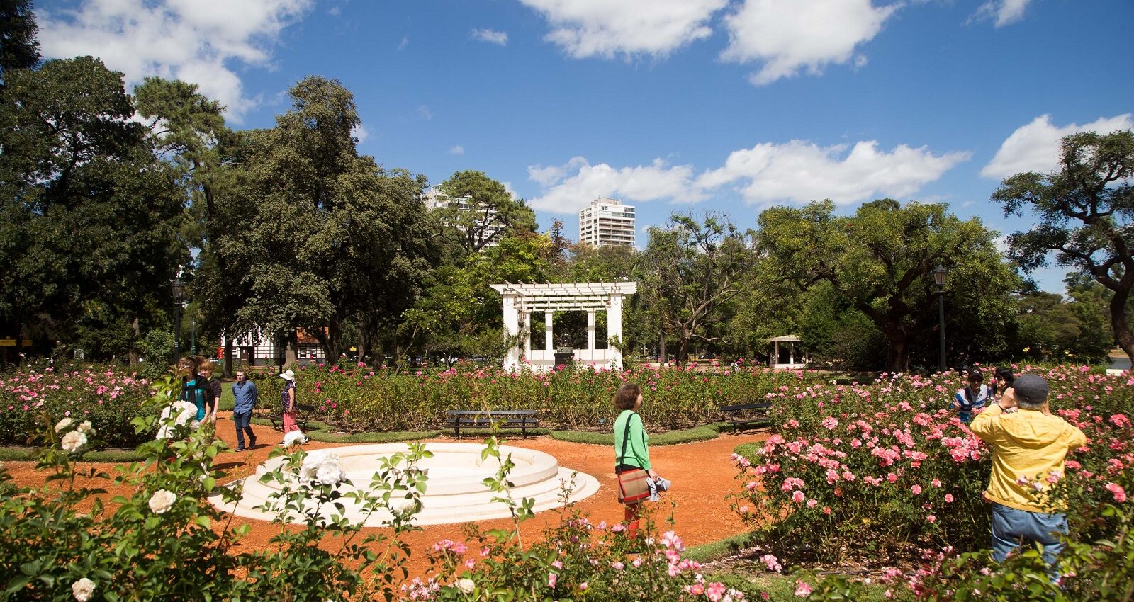 vacaciones de invierno actividades
