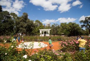vacaciones de invierno actividades