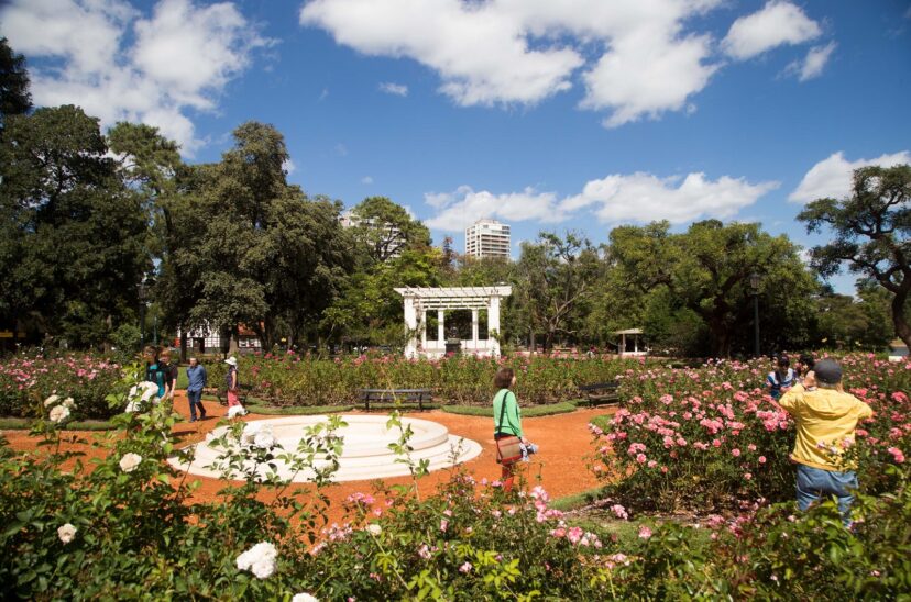 vacaciones de invierno actividades