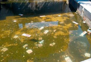 Fuente billetes