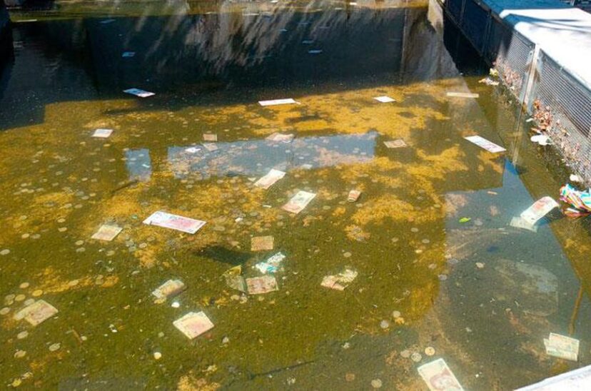 Fuente billetes