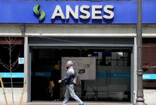 ANSES - refuerzo