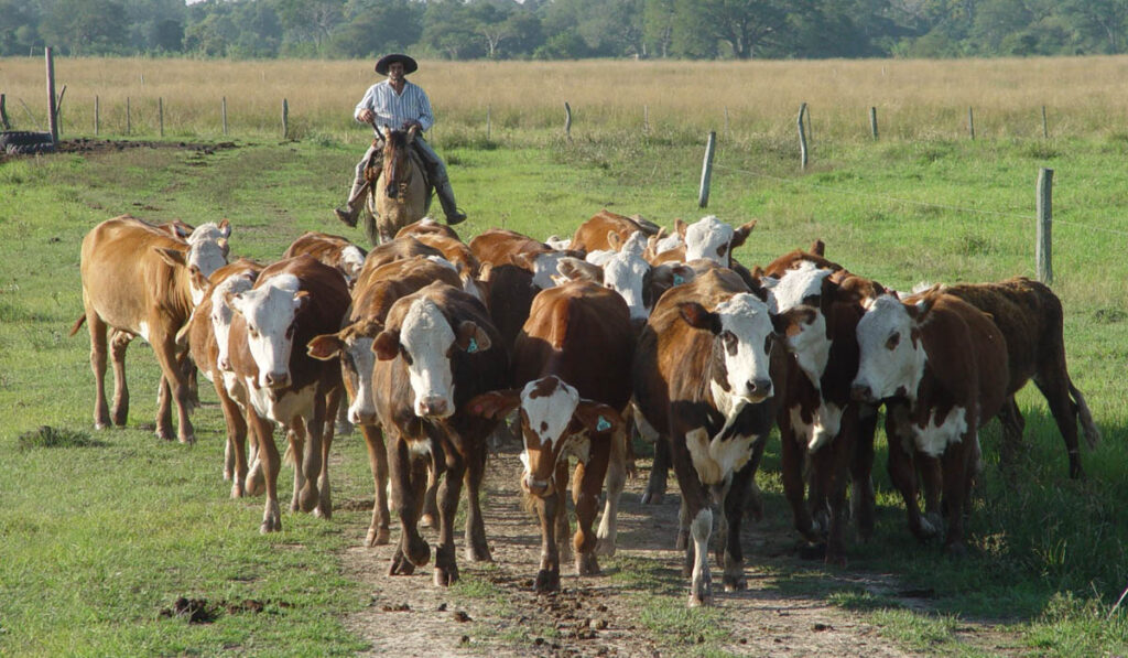 aumento salarial peón rural