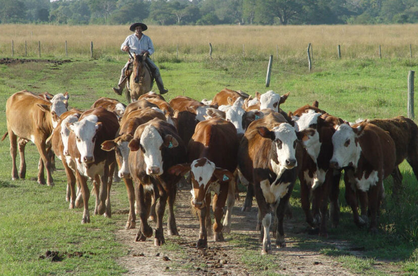 aumento salarial peón rural