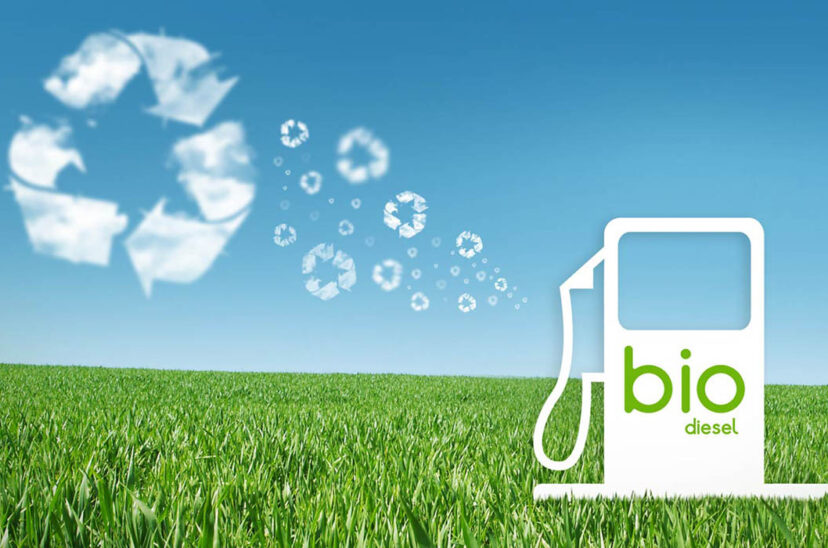 biodiesel argentino bioetanol y biodiésel