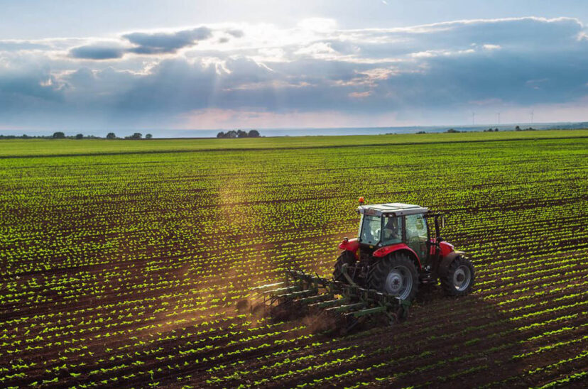 campo medidas claras solución climática el agro trabaja dólares ley de tierras