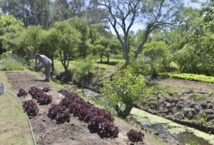 cooperativa agricultura