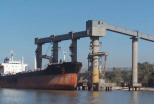 industria aceitera