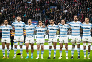 los pumas