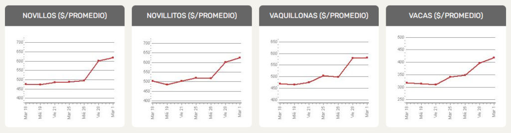 precio promedio kilo vivo carne vacuna