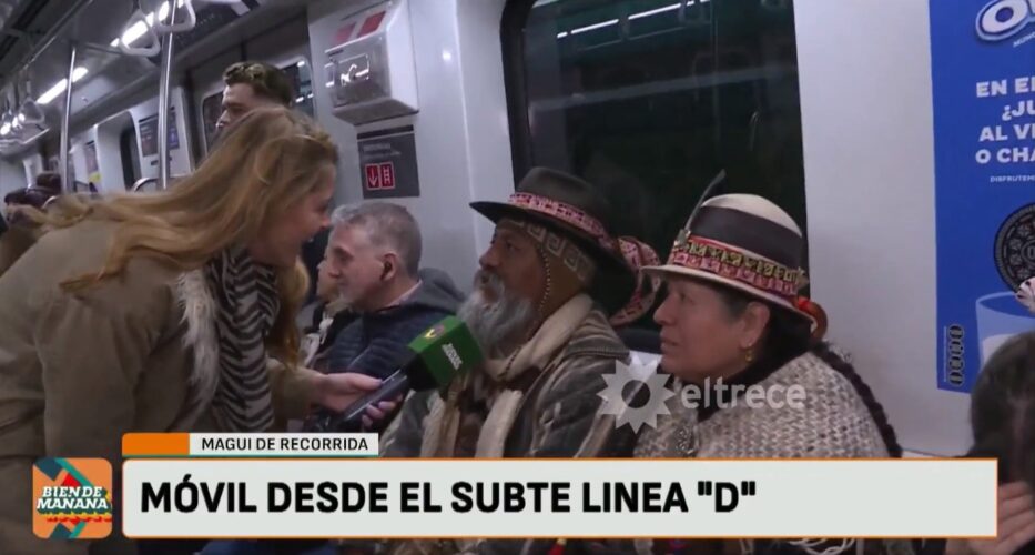 Captura del programa de Doman.