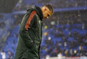 Demichelis