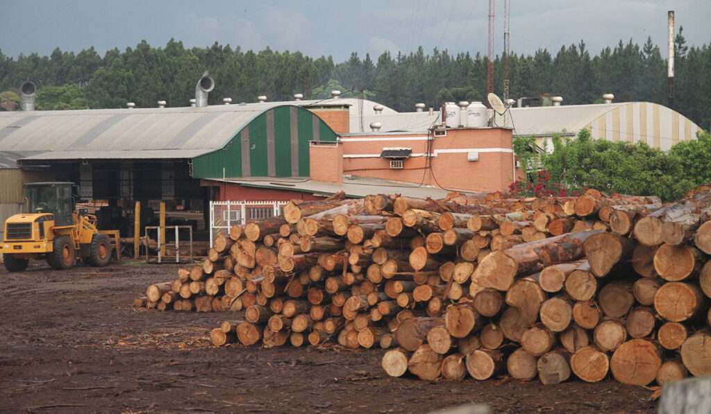 forestal