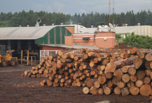 forestal