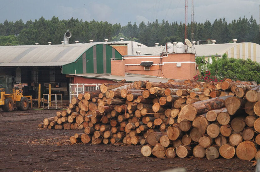 forestal