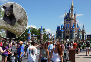 Disney