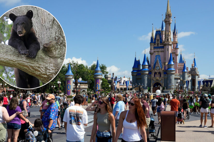 Disney