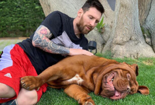 Messi Hulk perro
