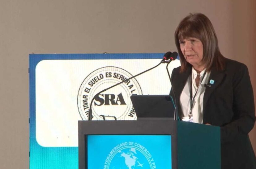 Patricia Bullrich CICP