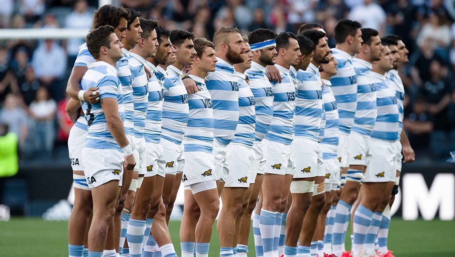 Pumas