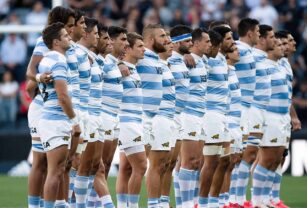 Pumas