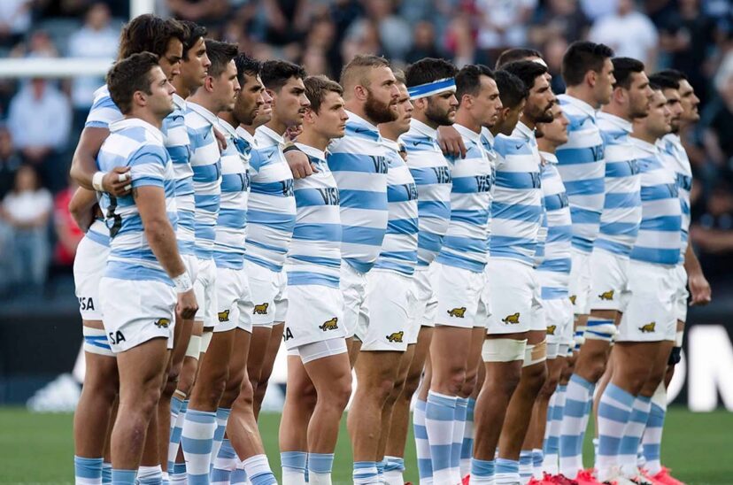 Pumas