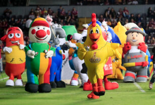 carrera de mascotas