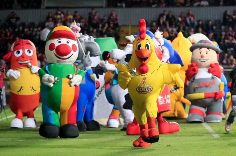 carrera de mascotas
