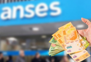 Crédito de ANSES