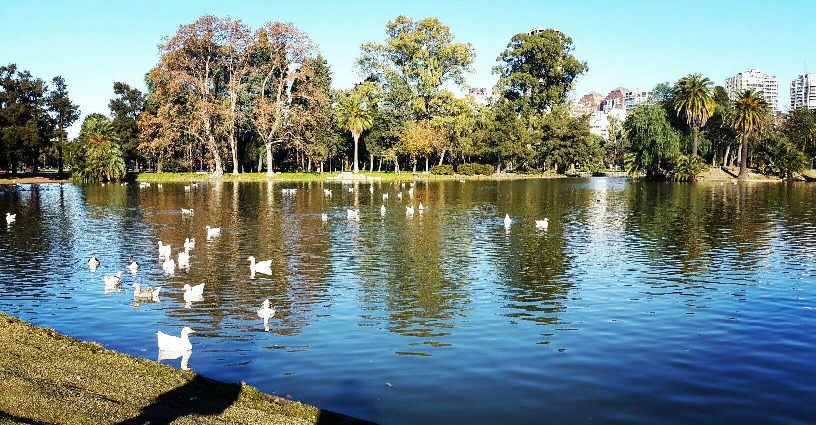 lagos de palermo cuerpo