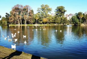 lagos de palermo cuerpo
