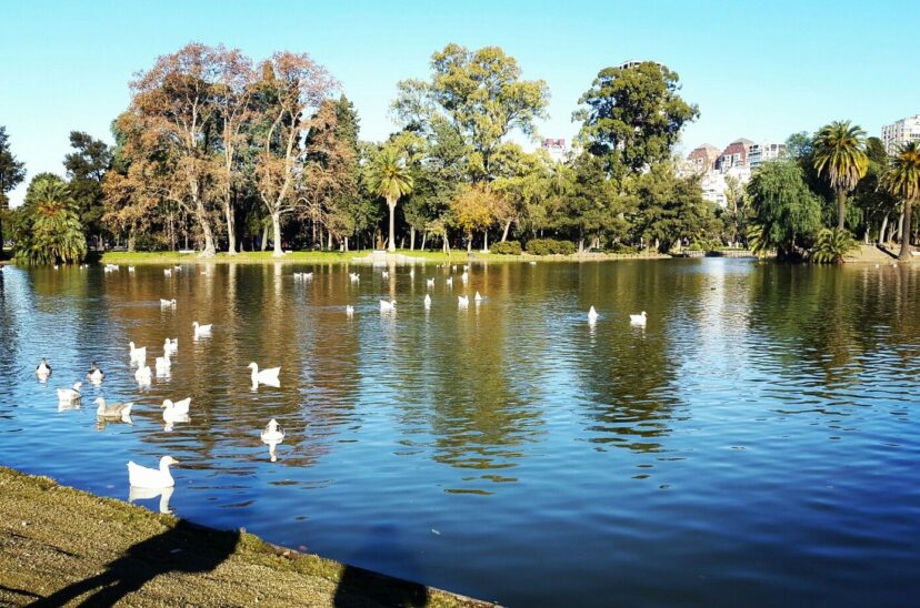 lagos de palermo cuerpo