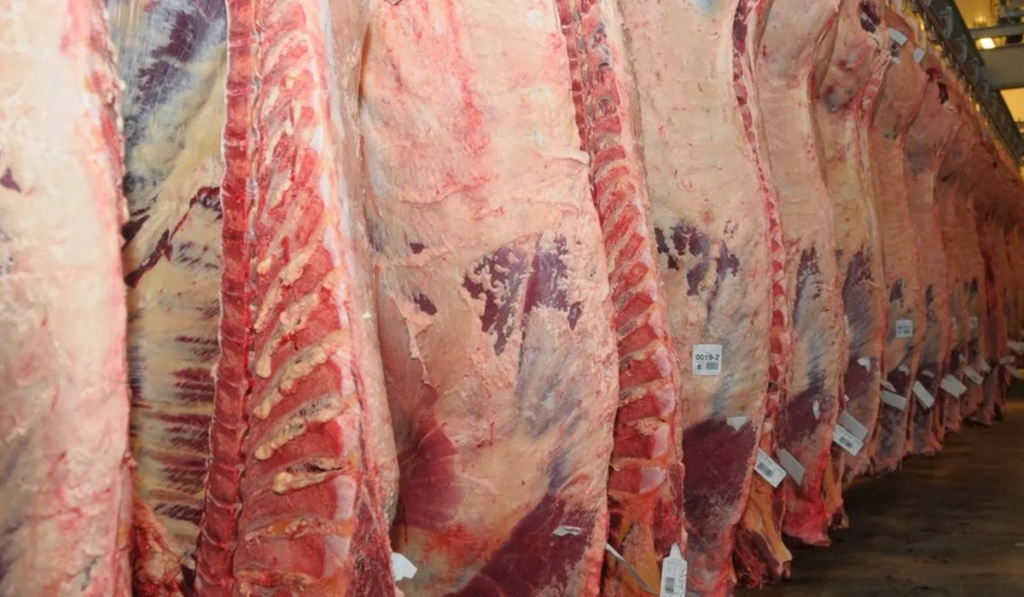 producción carne vacuna frigorífico Estatus Sanitario Nacional