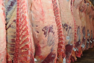 producción carne vacuna frigorífico Estatus Sanitario Nacional