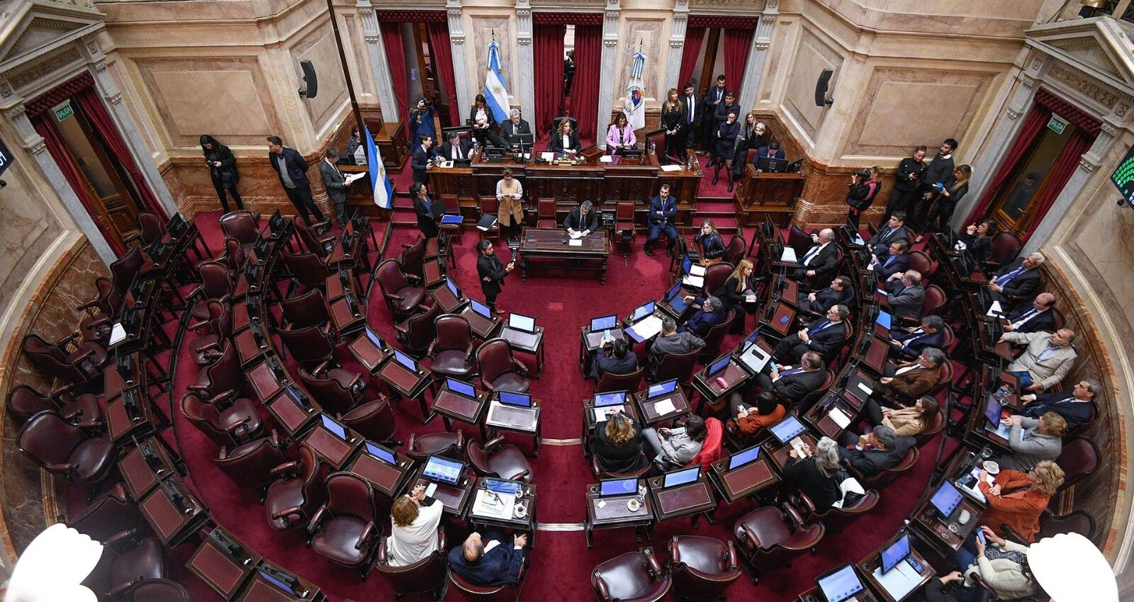 senado ficha limpia