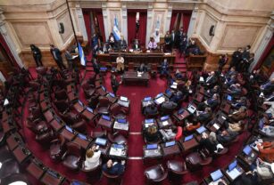 senado ficha limpia