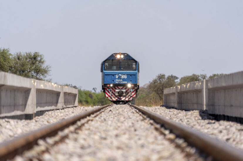 trenes de carga salta