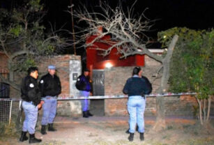 perros asesinos